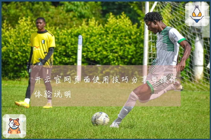开云官网页面使用技巧分享与操作体验说明