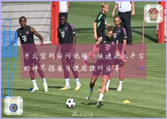 开云官网访问说明：快速进入平台的详尽指南与使用技巧分享